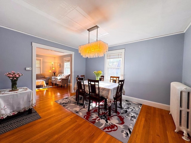dining area featuring wood finished floors, baseboards, ornamental molding, and radiator
