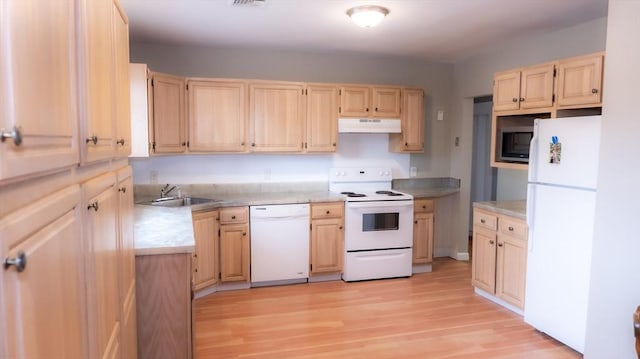 kitchen featuring white appliances, a sink, under cabinet range hood, light wood-style floors, and light countertops