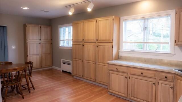 kitchen with radiator, light countertops, light wood-style flooring, and plenty of natural light