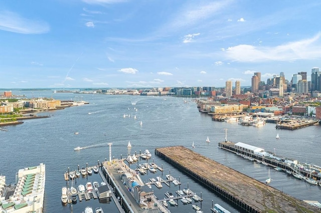 42 8th St Unit 1307, Boston, MA 02129 - water view featuring city skyline and a marina