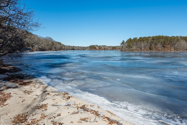 property view of water with a wooded view