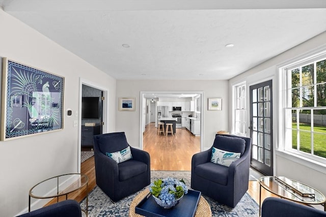 living room featuring wood finished floors, plenty of natural light, and baseboards