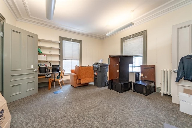 37 Mellen St, Cambridge, MA 02138 - office featuring radiator, plenty of natural light, carpet flooring, and ornamental molding
