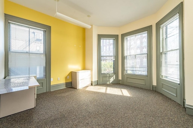 37 Mellen St, Cambridge, MA 02138 - doorway to outside featuring carpet and healthy amount of natural light