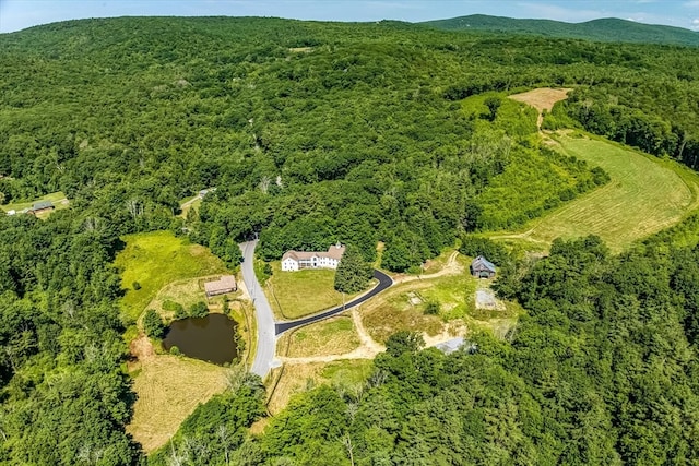 drone / aerial view featuring a water and mountain view