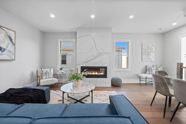 living room with a premium fireplace and light hardwood / wood-style flooring