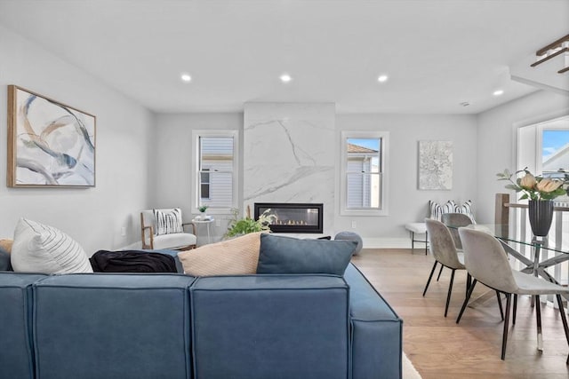 living room with a premium fireplace and light hardwood / wood-style flooring