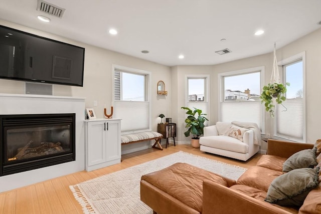 living room featuring a healthy amount of sunlight and light hardwood / wood-style floors