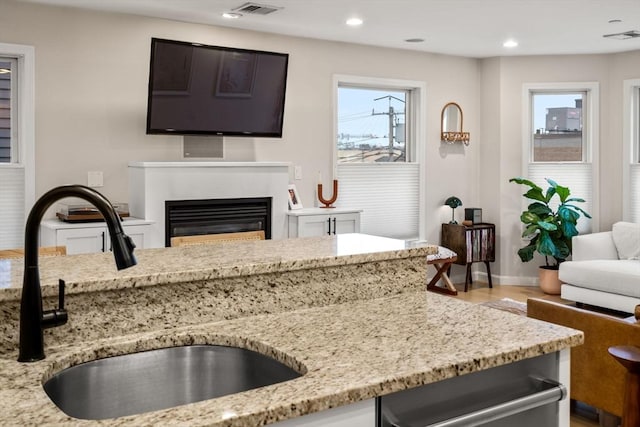 kitchen featuring hardwood / wood-style flooring, light stone countertops, and sink