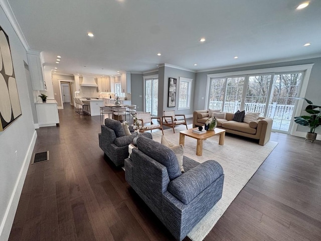 living room featuring crown molding and dark wood-type flooring