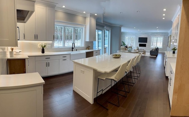 kitchen with sink, white cabinets, a center island, dark hardwood / wood-style floors, and crown molding