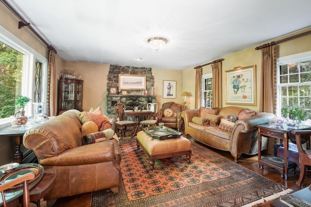 living room featuring hardwood / wood-style flooring