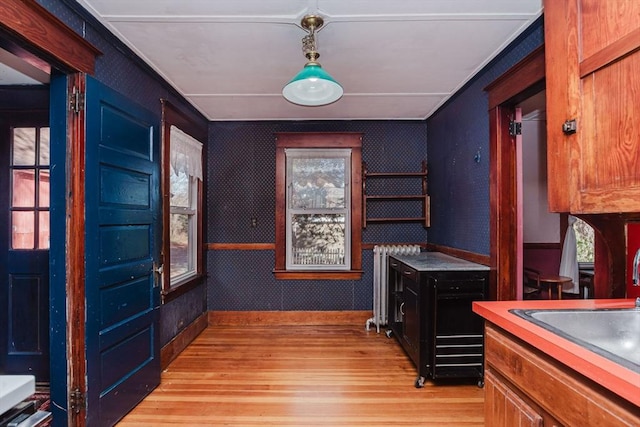 interior space with radiator, sink, and light wood-type flooring