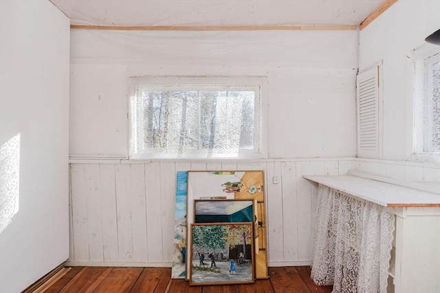 interior space featuring hardwood / wood-style floors and wooden walls