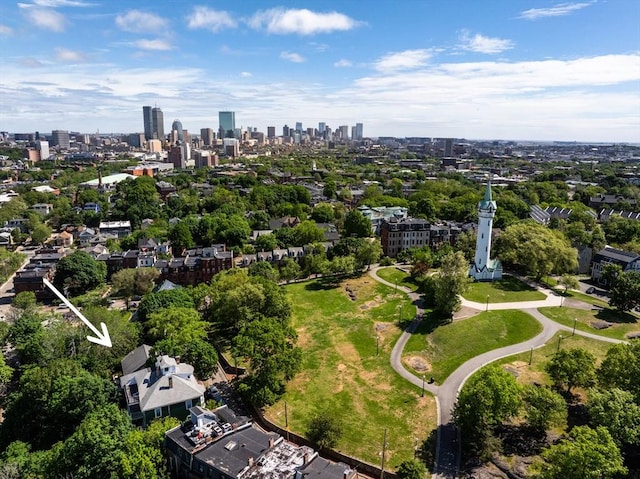 17-19 Beech Gln, Boston, MA 02119 - view of property location with skyline and a tree filled landscape