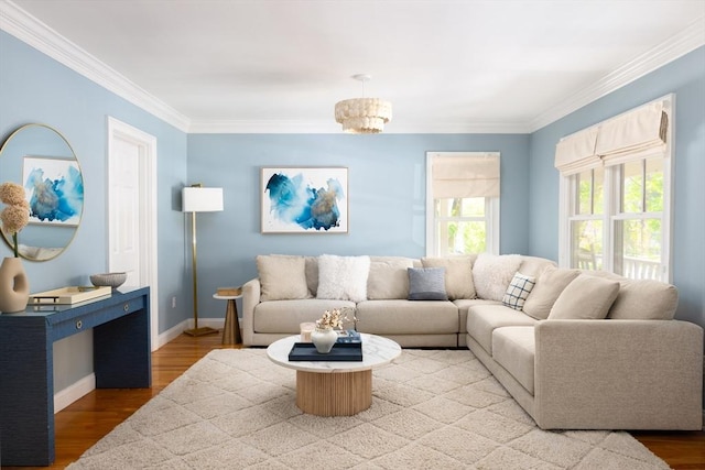 17-19 Beech Gln, Boston, MA 02119 - living room with crown molding, wood finished floors, and baseboards