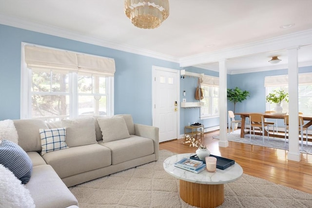 17-19 Beech Gln, Boston, MA 02119 - living area featuring plenty of natural light, ornamental molding, and wood finished floors