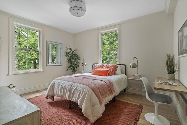 17 Alveston St, Boston, MA 02130 - bedroom with multiple windows, wood finished floors, and baseboards