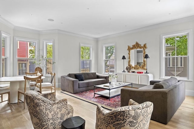 17 Alveston St, Boston, MA 02130 - living area with light wood-type flooring, ornamental molding, and baseboards