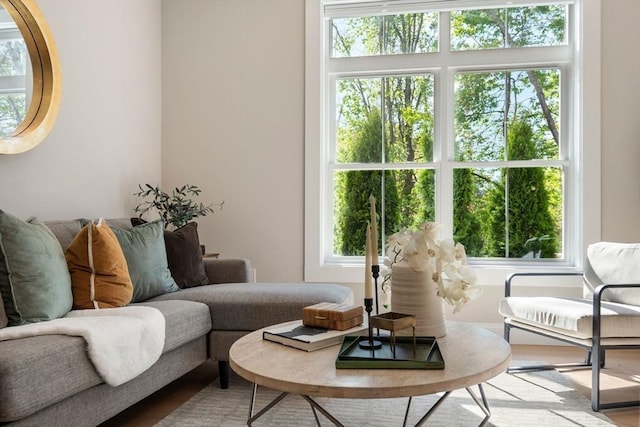 7 Cross St Unit 205, Wilmington, MA 01887 - living area featuring plenty of natural light and wood finished floors