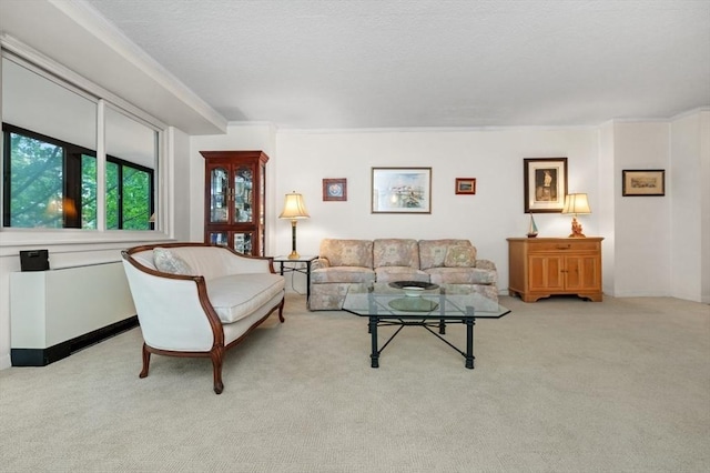 2 Hawthorne Pl Unit 2E & 2F, Boston, MA 02114 - living area with light carpet, a textured ceiling, and crown molding