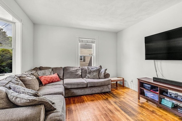 66 Guinan St, Waltham, MA 02451 - living area featuring wood-type flooring