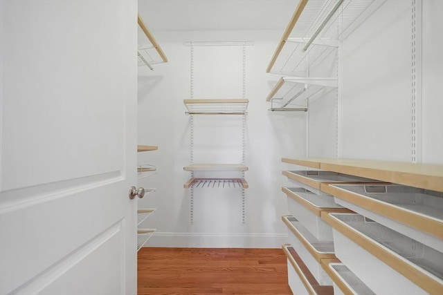 walk in closet with wood finished floors