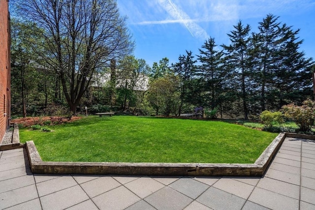 view of yard with a patio area