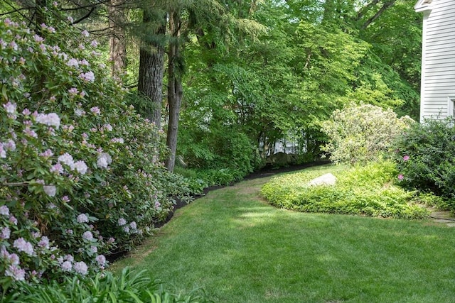 338 Highland St, Weston, MA 02493 - view of green lawn