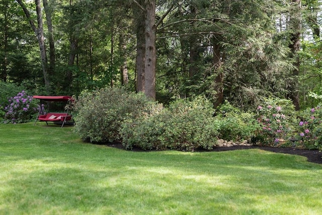 338 Highland St, Weston, MA 02493 - view of grassy yard