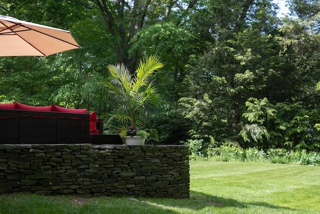 338 Highland St, Weston, MA 02493 - view of green lawn