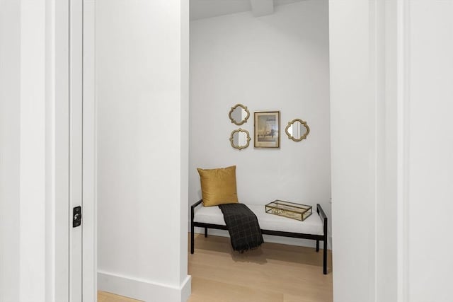 145 Warren St Unit 5, Newton, MA 02459 - living area featuring light wood finished floors and baseboards
