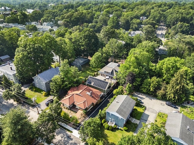 145 Warren St Unit 5, Newton, MA 02459 - aerial view of a forest