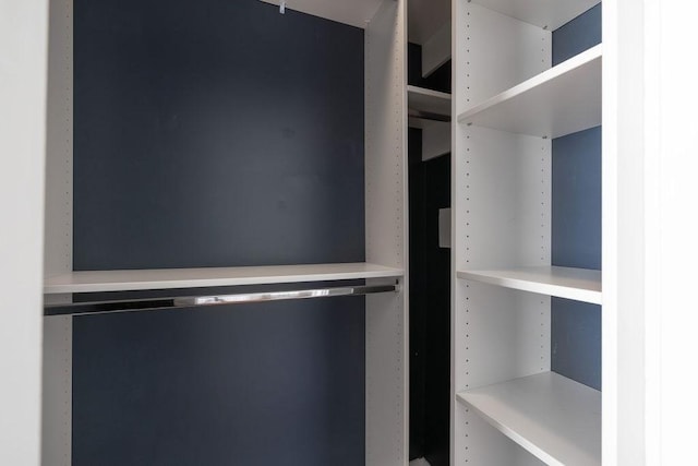 41 Sudan St Unit 3, Boston, MA 02125 - view of spacious closet