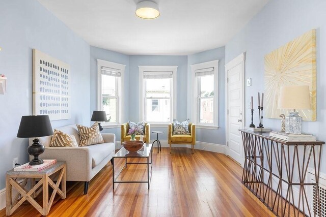 41 Sudan St Unit 3, Boston, MA 02125 - living room with light wood finished floors and baseboards