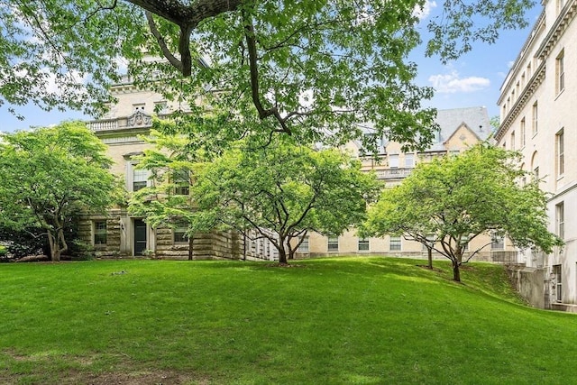 60 Glen Rd Unit 107, Brookline, MA 02445 - view of grassy yard