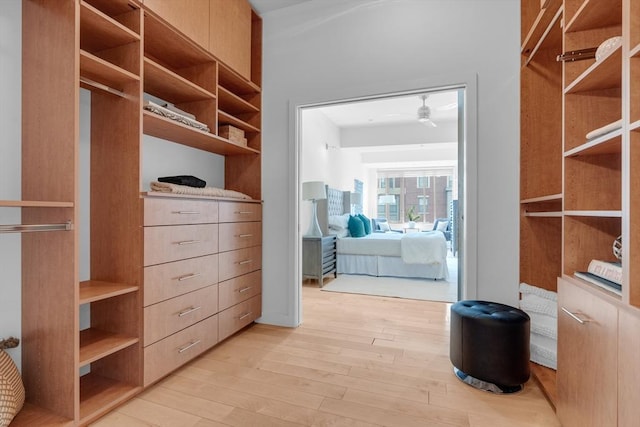 spacious closet with light wood-type flooring and a ceiling fan