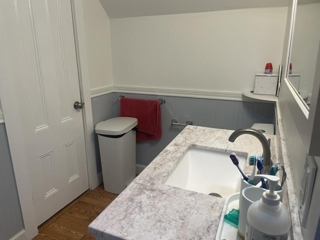 bathroom featuring wainscoting, a sink, and wood finished floors