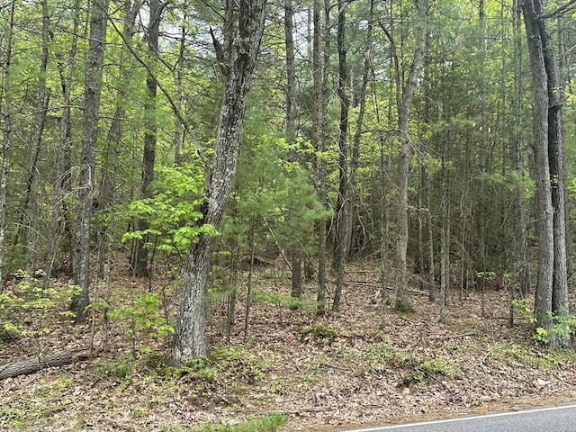 155 Stimson St, Palmer, MA 01069