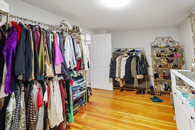 22 Tampa St, Worcester, MA 01604 - walk in closet with hardwood / wood-style floors