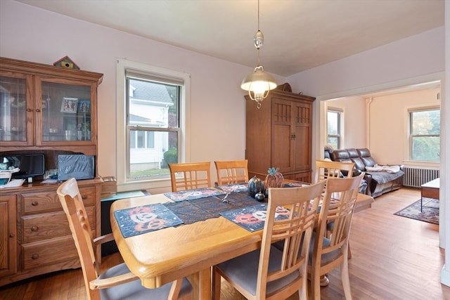 dining area with radiator and light hardwood / wood-style floors