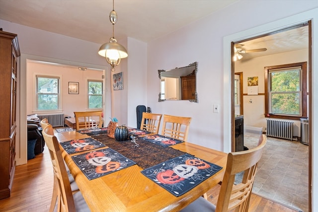 dining room featuring light wood-type flooring, radiator heating unit, and a wealth of natural light