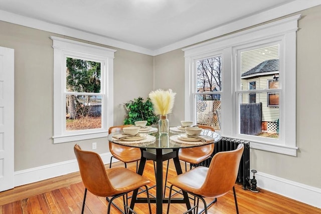 dining room featuring a healthy amount of sunlight, radiator, and light hardwood / wood-style flooring