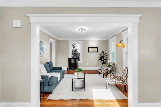 living room featuring hardwood / wood-style flooring and ornamental molding