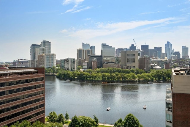 10 Rogers Unit 1119, Cambridge, MA 02142 - view of city skyline featuring a nearby body of water