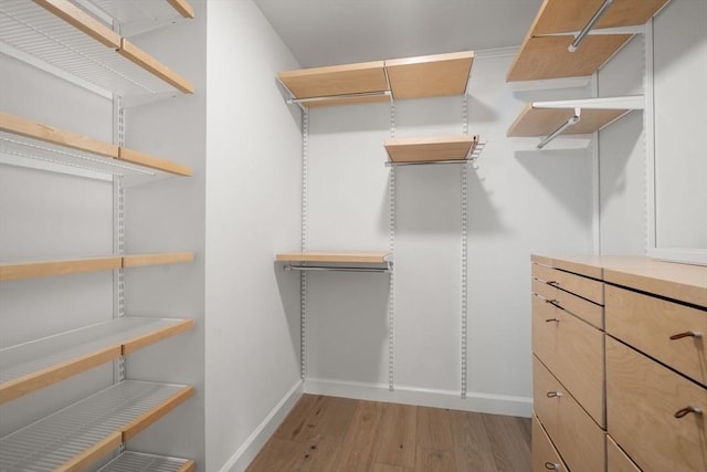 10 Rogers Unit 1119, Cambridge, MA 02142 - walk in closet featuring light wood-style flooring
