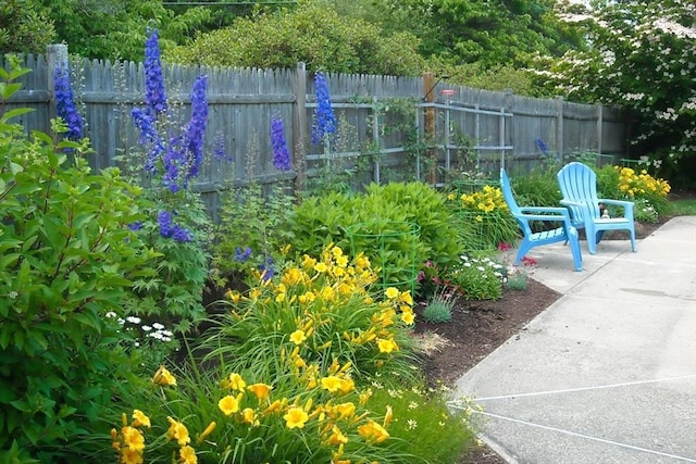 view of yard featuring a patio and fence