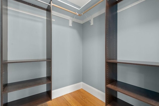 walk in closet featuring wood finished floors