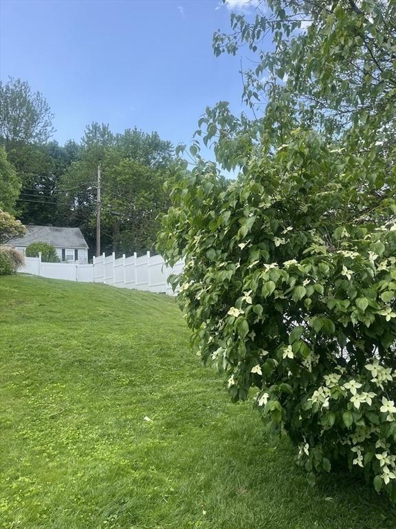 35 Marsh Ave, Worcester, MA 01605 - view of yard