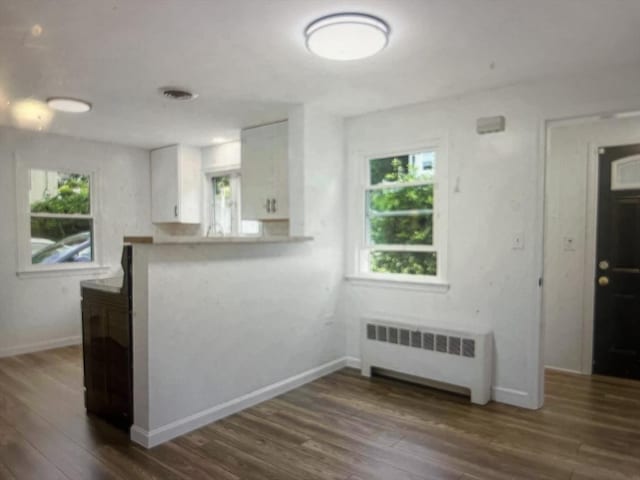 35 Marsh Ave, Worcester, MA 01605 - unfurnished living room featuring radiator heating unit, plenty of natural light, dark wood-type flooring, and baseboards